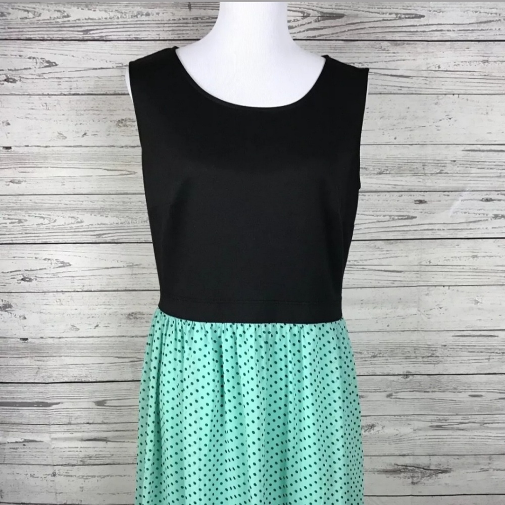 ENFOCUS Mint Polkadot Black Lace Dress